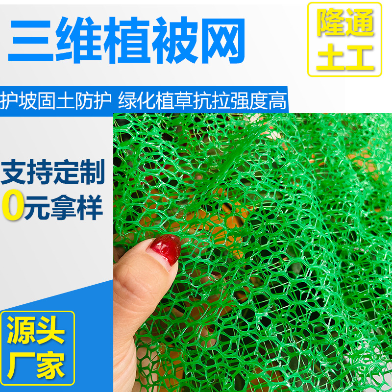 边坡绿化三维植被网厂家植草固土三维土工网垫加筋HDPE三维植被网
