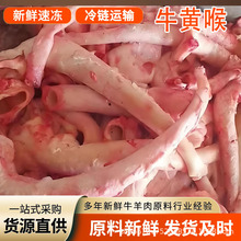 国产清真鲁西黄牛新鲜冷冻火锅食材牛肺管牛软骨烧烤配菜牛黄喉