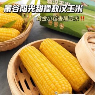 �ɹ�ꖹ���Ŵ�����S��С�������׃��ɰ��h����D�����֬�ּZ���