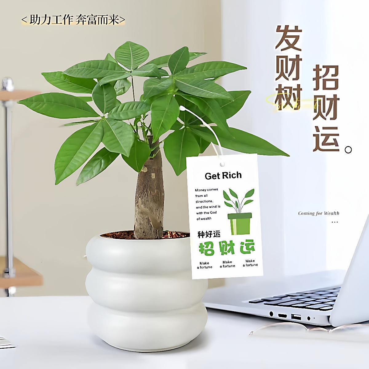 详情图