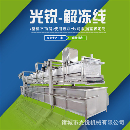 鸡翅中、翅根、鸡爪解冻机厂家 自动恒温可提升内胆解冻设备 不锈