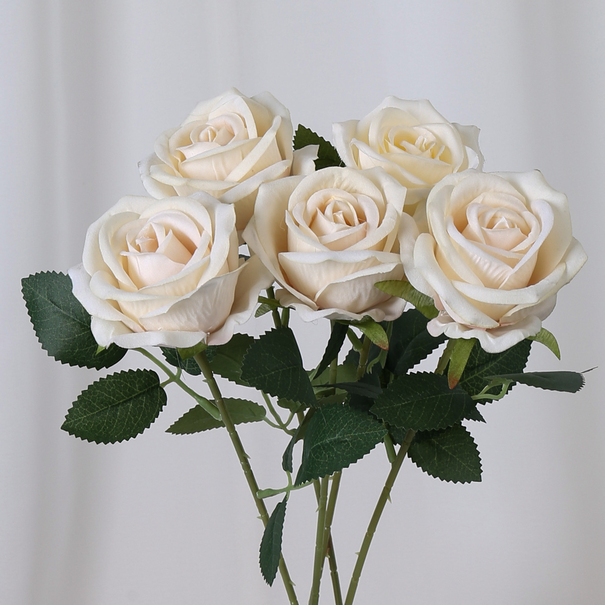 싱글 로즈(플란넬) 샴페인 컬러