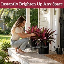 �羳�¿�Artificial Ti Plant�����ֲ��������ľ��Ѫ��
