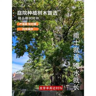 ���N�ӿ������ľ�����������������O�ɹř��t���N����������