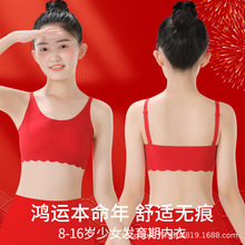 女童内衣发育期本命年红色蛇年套装大童小女孩小背心儿童文胸13岁