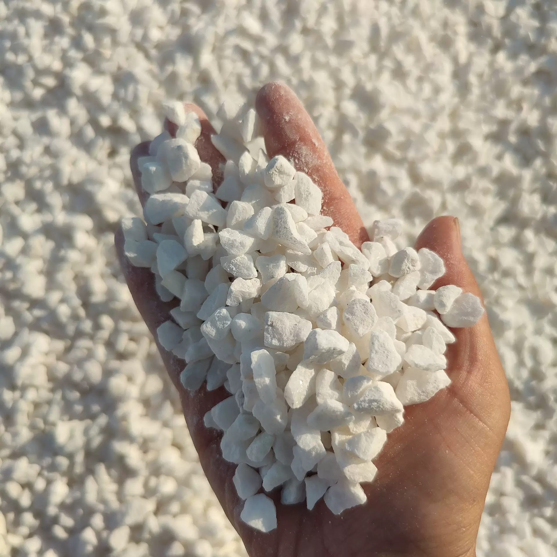 白石子洗米石源头厂家园林景观工程枯山水造景1-2公分白色砾石