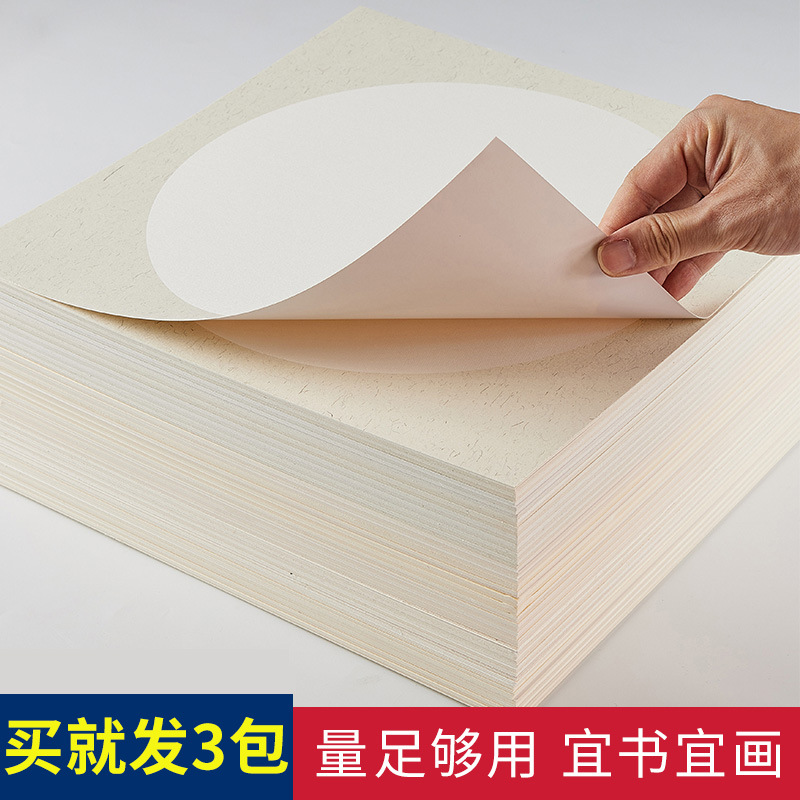 加厚国画生宣纸卡纸熟宣工笔画空白半生半熟书法作品纸小学生儿童