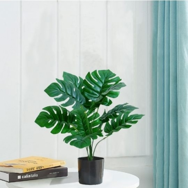モンステラ 大型鉢植え 水耕栽培 大葉植物 古い杭 リビングルーム 大型緑の植物 花 オフィス オープンバックで富を引き寄せる|undefined