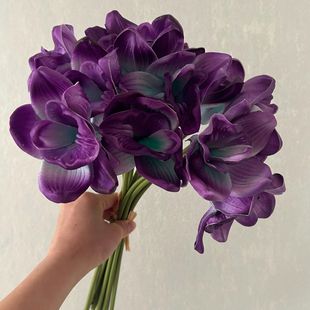 �Wʽ ���滨��֧PU���m �Ҿ��b��ָб����b����zӰ�������l
