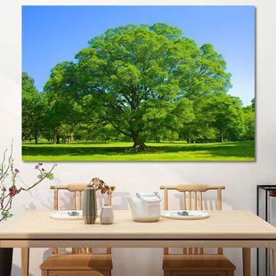 ꖹ�ɭ�ִ������L���쮋�Gɫ�o����լ��ؔ���P��ľ�������ұڮ�