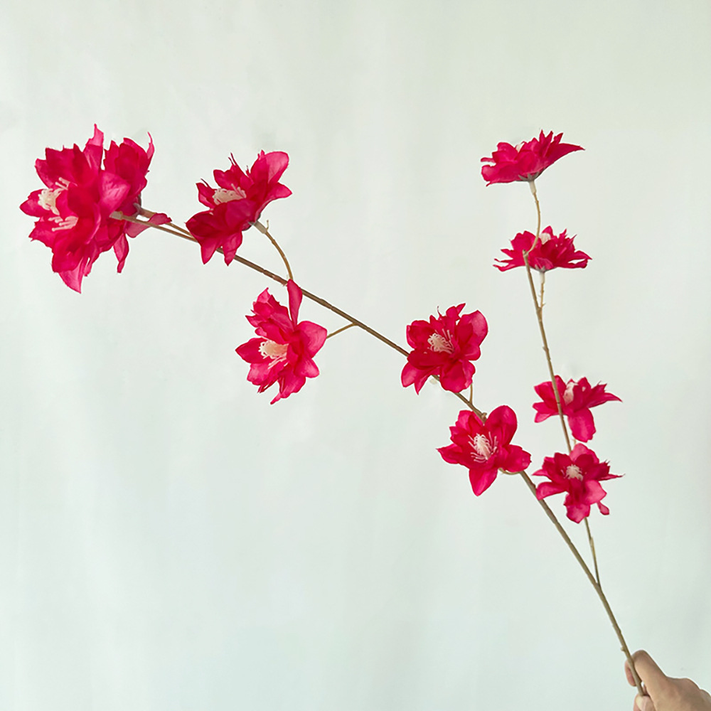 유카이 다두 동백 로즈 레드