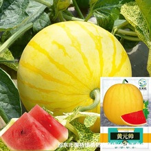 ���ϷN�Ӵ�ȫ�SƤ�t���SԪ���o�����ϷN��ԭ�b�N�Ӵ�ȫ���l���l