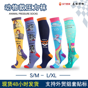 Cross-border animal rainbow new sports socks spring autumn and winter knee socks men's casual sports cartoon compression socks