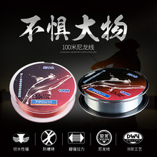 �Ƕ�ើ�ȫ��100����~��ԭ�z��������·����ធ��ͺ�������O��