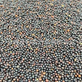 其他药食同源;参类滋补品;豆类