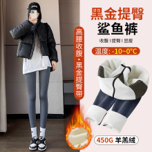 无尴尬线加绒鲨鱼裤女外穿2024新款秋冬加厚瑜伽裤保暖棉裤打底裤