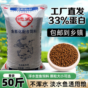 ͨ���~������ϸ��w���ߵ����a�~���~���~�_���~ʳ�~�Z���l50��