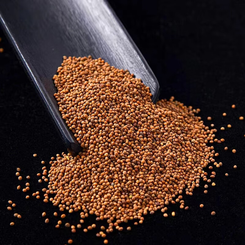 Dried Cuscuta Seed Tu Si Zi 500g Chinese Dodder Seed for Tea and Decoction key features