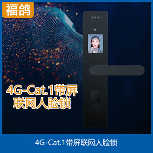 4G-Cat.1 Hotel Face Smart Lock/Remote Photo Distribution/4G Apartment Homestay Campus Dormitory