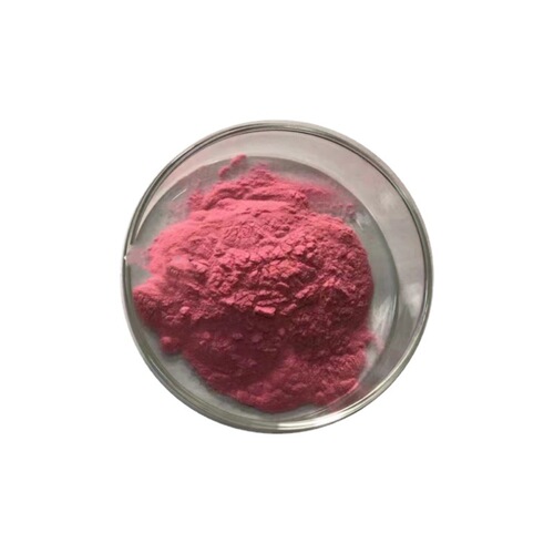 Blueberry Powder Fruit and Vegetable Blueberry Fruit Powder Water-Soluble Blueberry Juice Powder from 1kg, price advantage