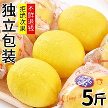 安岳黄柠檬新鲜当季水果现摘一级薄皮柠檬果子多规格泡水整箱