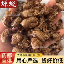 ��Ʒ��؛ˮϴ�sÓ�s����ș��ץ����s�½��s��Ƥ֪�˚�֪�˺����l