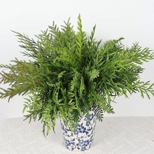 仿真蕨叶波斯蕨海金沙迷迭香植物微景观造景墙插地插装饰软装绿叶