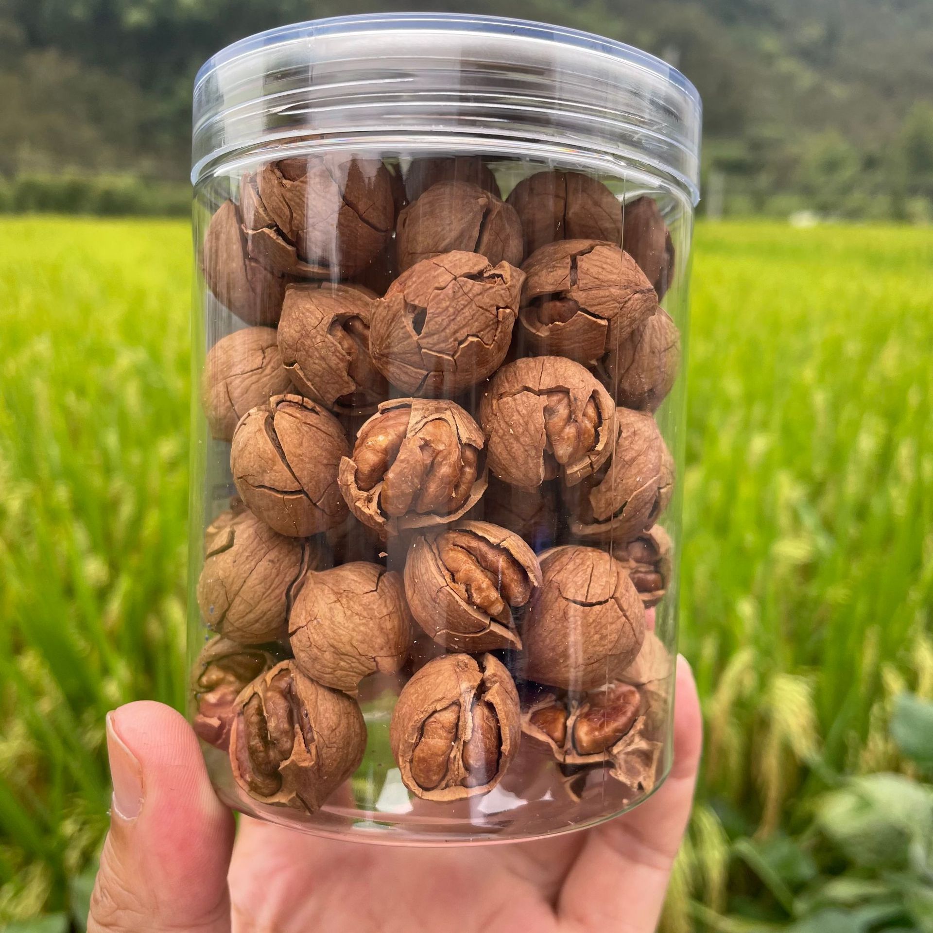 微信图片_202209190939264