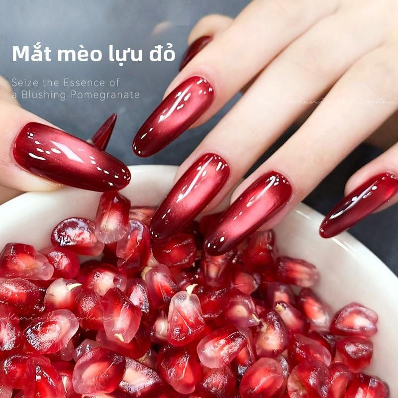 Red Pomegranate Bright Color Cat Eye Art Nail Polish Autumn and Winter Popular Internet Celebrity Style Easy to Match New