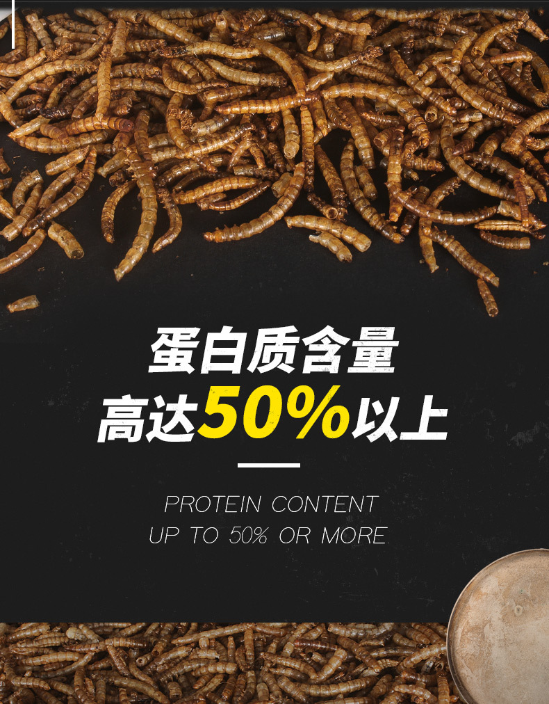 3_15_O1CN011OMybWItEzwFLhf_!!2