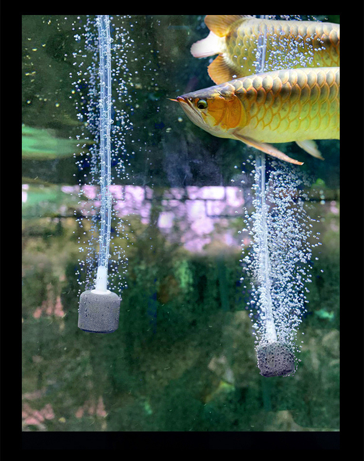 827f4911-1b4e-4a1d-95a2-2533e77aef0f.jpe