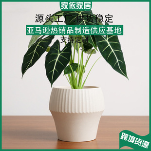 �S��ֱ�N���W���s�͏d������ϴ�̖�����콶�������_ľ�Gֲ���Է�