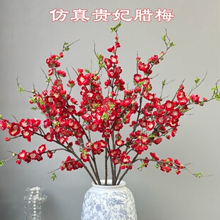 �Ҿӷ���÷�� �F���D÷ �tɫϞ÷��c�Ҿ��Ĕz�����bٻ����l