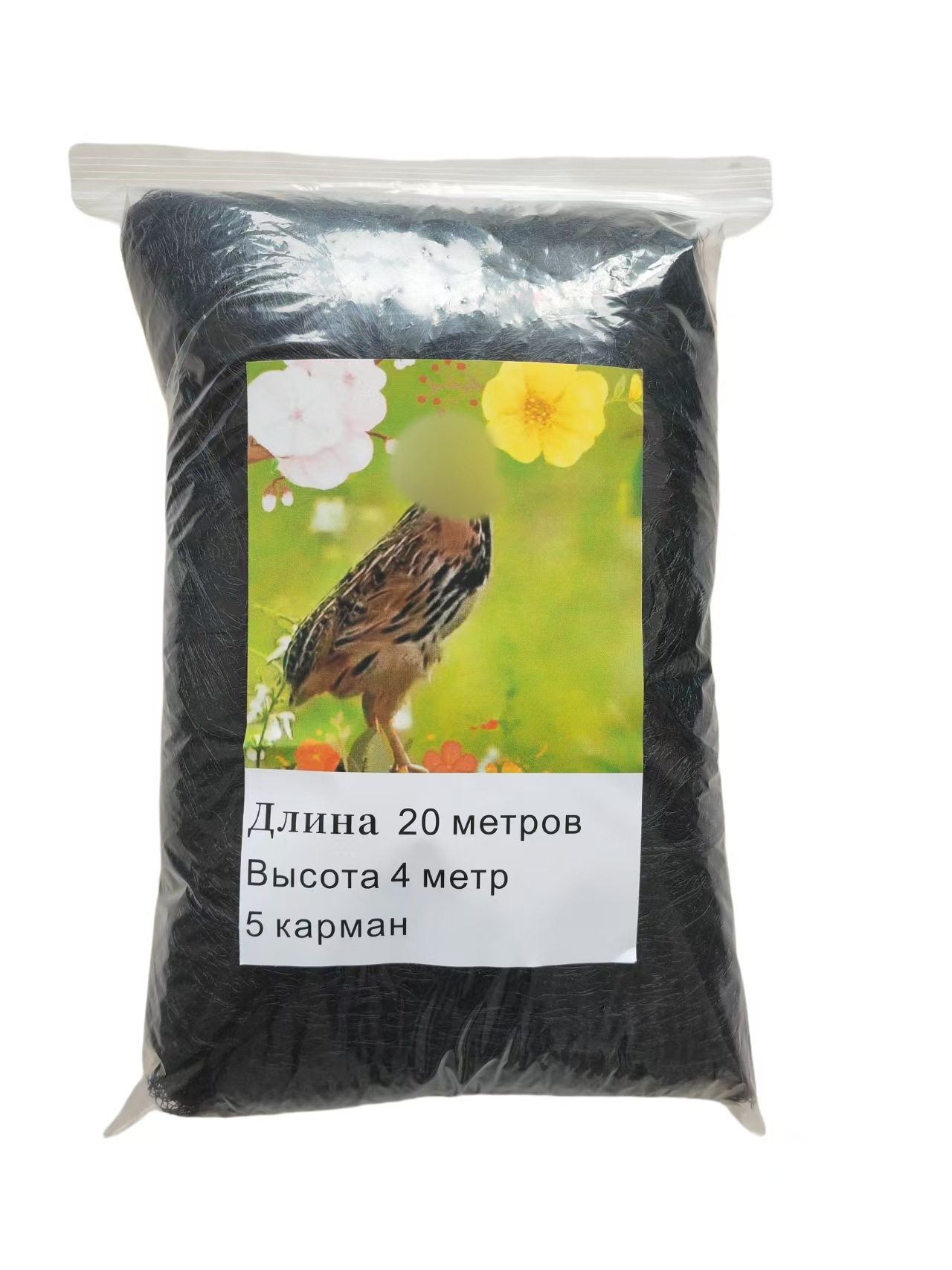 微信图片_20250422215730