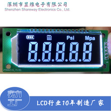负显VA类仪器仪表显示产品定 制段码LCD液晶显示模组