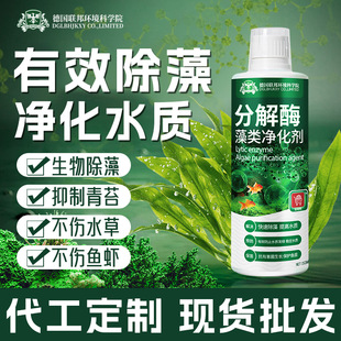 Decomposition Enzyme Algae Purifier Fish Tank Algae Remover Moss Remover Moss Black Hair Algae Removal Algae Water Purifier