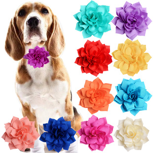 8cm Pointed Lotus Chiffon Fabric Small Dog Cat Detachable Decorative Collar Flower Cross Border Pet Jewelry Wholesale