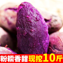 番薯粉糯香甜新鲜紫薯批发价沙地地瓜红薯小紫薯紫心薯210斤代发