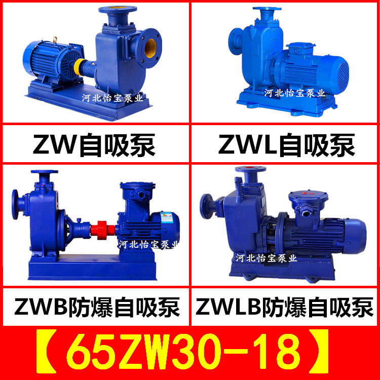 ZW65-30-18 工业污水自吸泵不阻塞排污泵 2.5寸卧式自吸离心泵