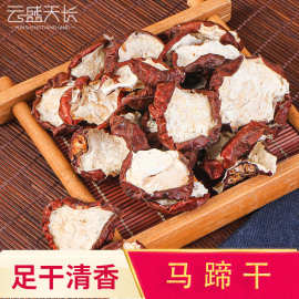 厂家批发马蹄干 片糖水马蹄丁马蹄荸荠干片农产品 散装煲汤马蹄干