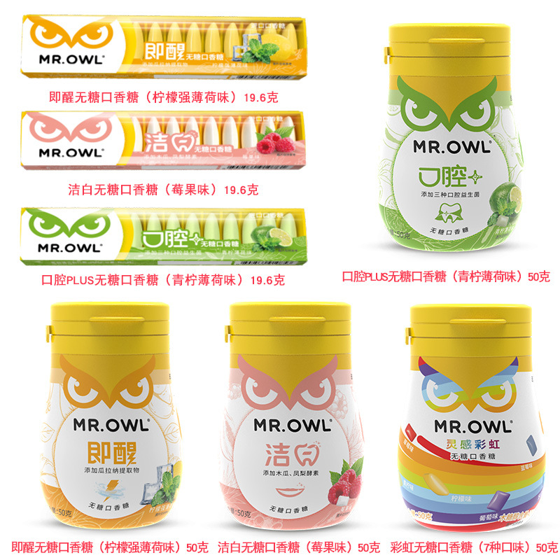Korean Owl Mr. Gum Health Extract Rainbow Fruit Strong Mint Guarana Driving Refreshing White Cool 