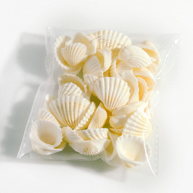 Pecera Acuario Adornos Decoración Artesanía de concha blanca Suministro de fábrica al por mayor Concha de caracola natural Cilindro Materia prima