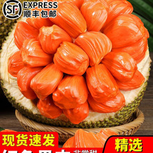 ӡ��t�Ⲥ�}�ۑ��������rˮ��һ����-��t�Ĳ��_���������]