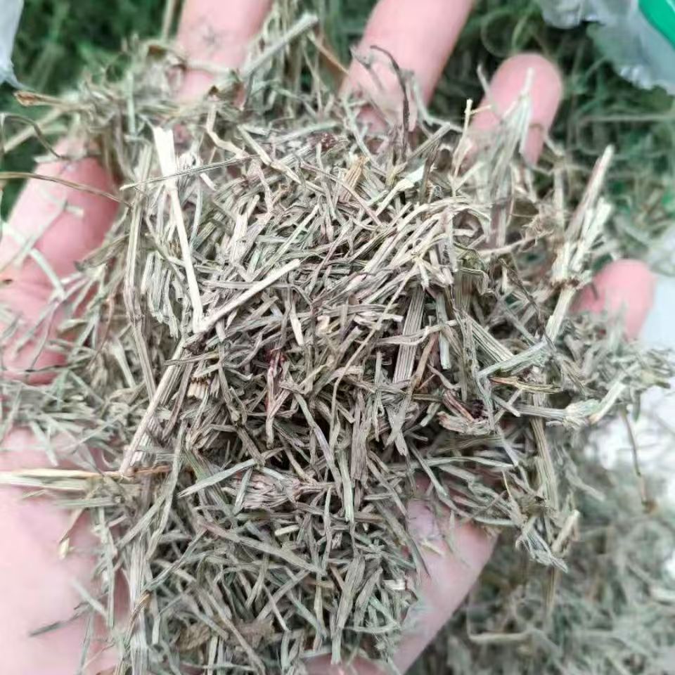 Dried Horsetail Herb Wen Jing Grass 问荆草 Equisetum Natural Sun Dried Raw Botanical Bulk Supply 500g key features