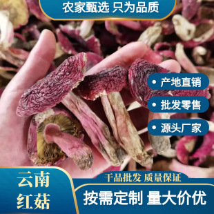 ��ϼt����؛���lҰ�����ն���t���Ƕ��Ʒ���x�Ҝ�ʳ������r��