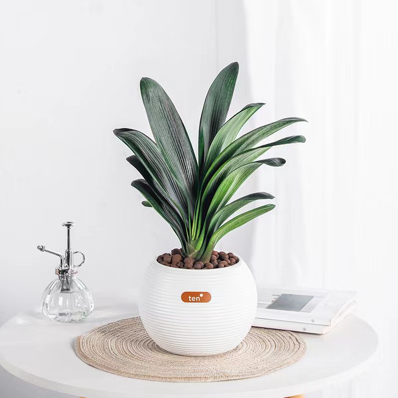 多肉小花盆自吸水懒人仿瓷盆新手种植办公室桌面北欧环保树脂花盆