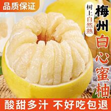 大埔蜜柚红心柚子白心白肉当季新鲜水果薄皮孕妇水果送礼红柚