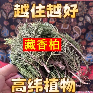 �������ز����֦�~ֲ����޹�σ�լ�Bˮ���B������Ȼ����~������