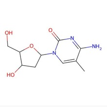 2 '-脱氧-5-甲基胞苷 纯度: 99% CAS: 838-07-3免费开票