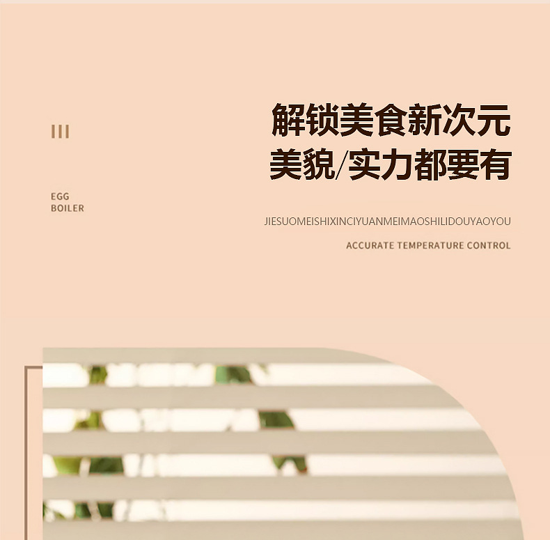 定时蒸蛋器_16.jpg